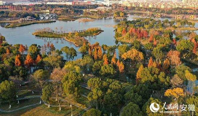 公园：鸠江“绿肺”焕新颜pg电子免费模拟器大阳垾(图3)