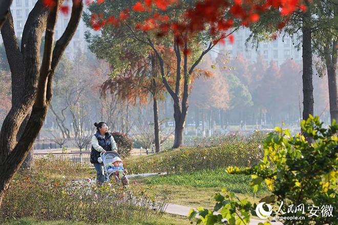 公园：鸠江“绿肺”焕新颜pg电子免费模拟器大阳垾(图4)