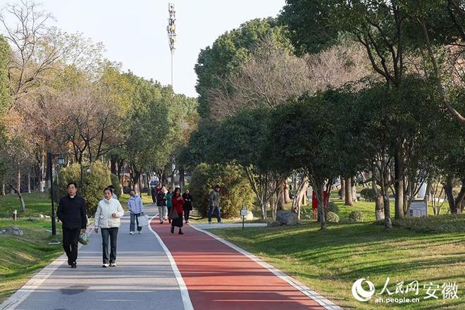 公园：鸠江“绿肺”焕新颜pg电子免费模拟器大阳垾(图5)