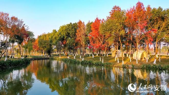 公园：鸠江“绿肺”焕新颜pg电子免费模拟器大阳垾(图6)