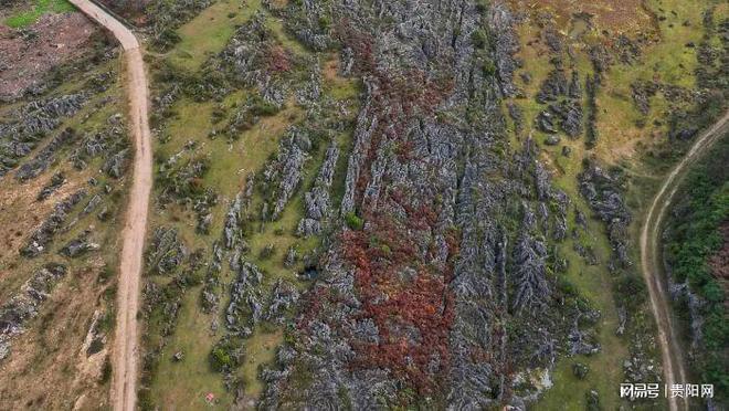 “火星”邂逅贵安深处的“世外桃源”pg电子中国网站玩转贵安 一条隧道通(图2)