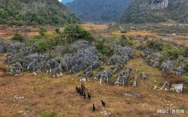 “火星”邂逅贵安深处的“世外桃源”pg电子中国网站玩转贵安 一条隧道通(图7)